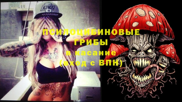 дмт Армянск